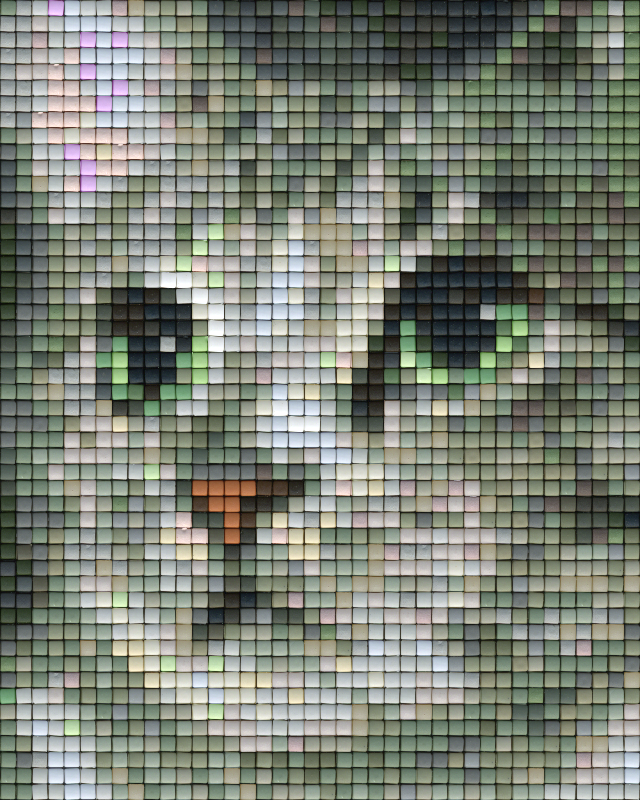 Pixel hobby classic set - cat