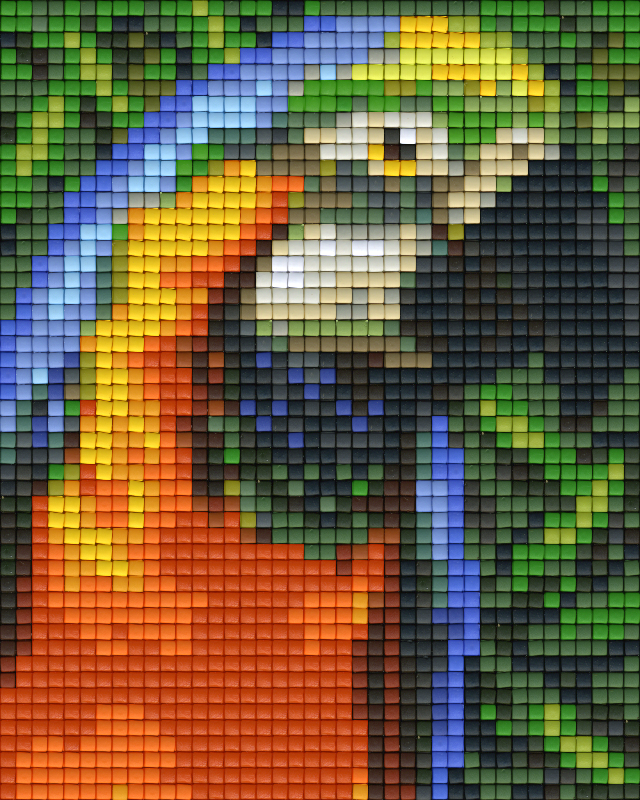 Pixel hobby classic template - parrot