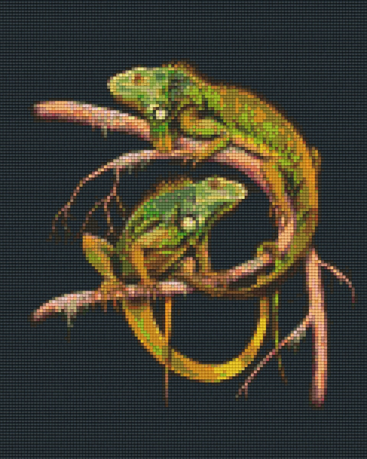 Pixelhobby Klassik Vorlage - Leguane