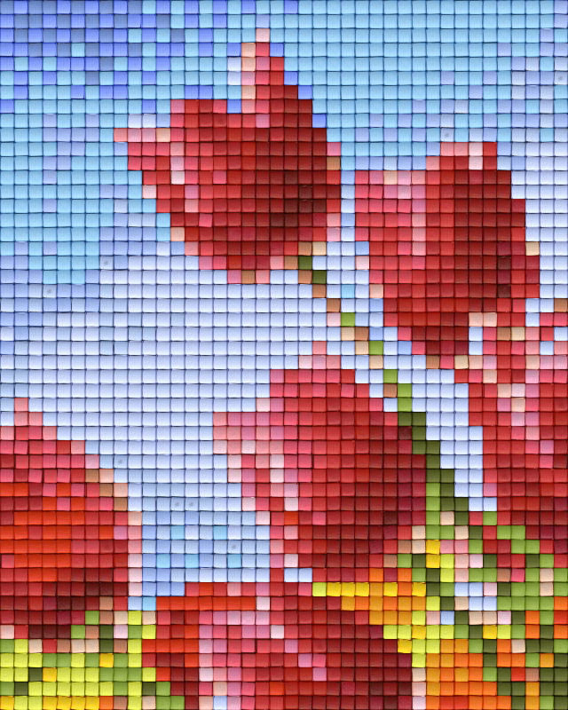 Pixelhobby Klassik Set - Tulpen