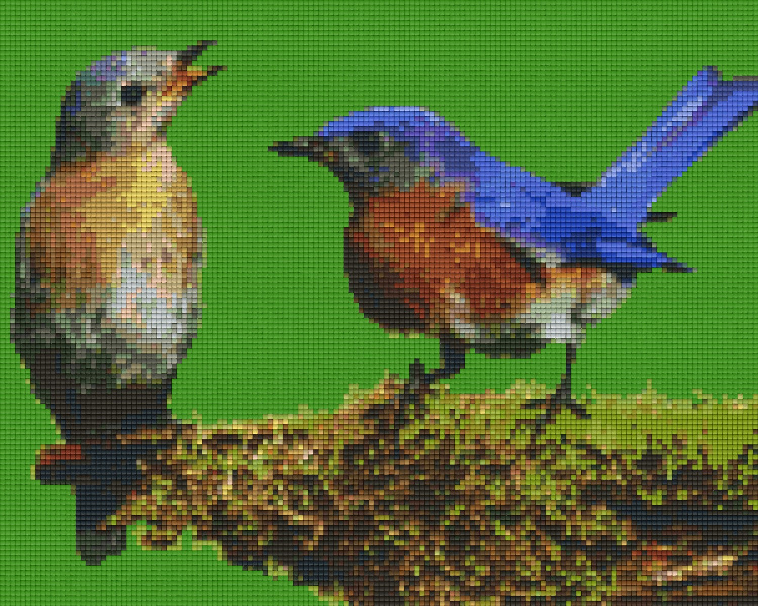 Pixelhobby Classic Set - Two Birds