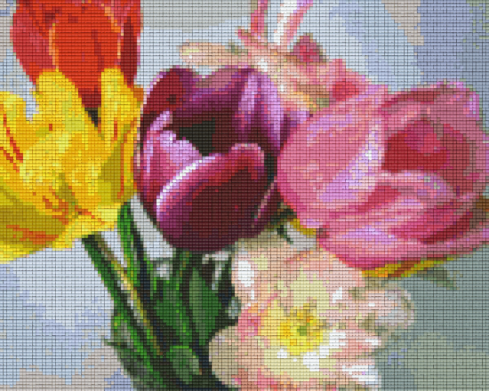 Pixelhobby classic set - bouquet of tulips