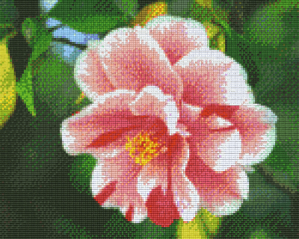 Pixel hobby classic set - flower