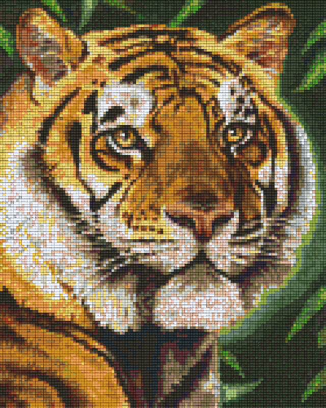 Pixel Hobby Classic Set - Tiger