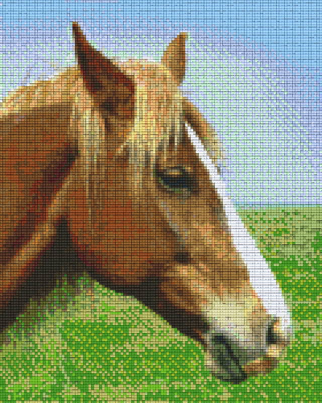 Pixel hobby classic set - horse