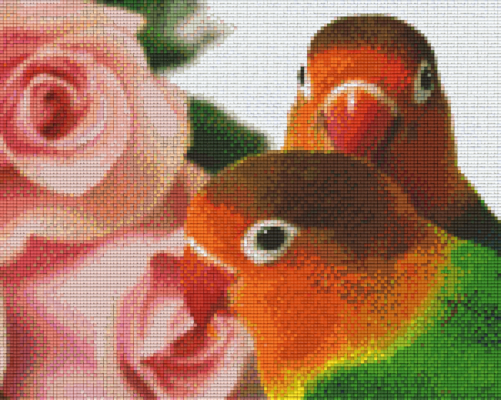 Pixel hobby classic set - parrots