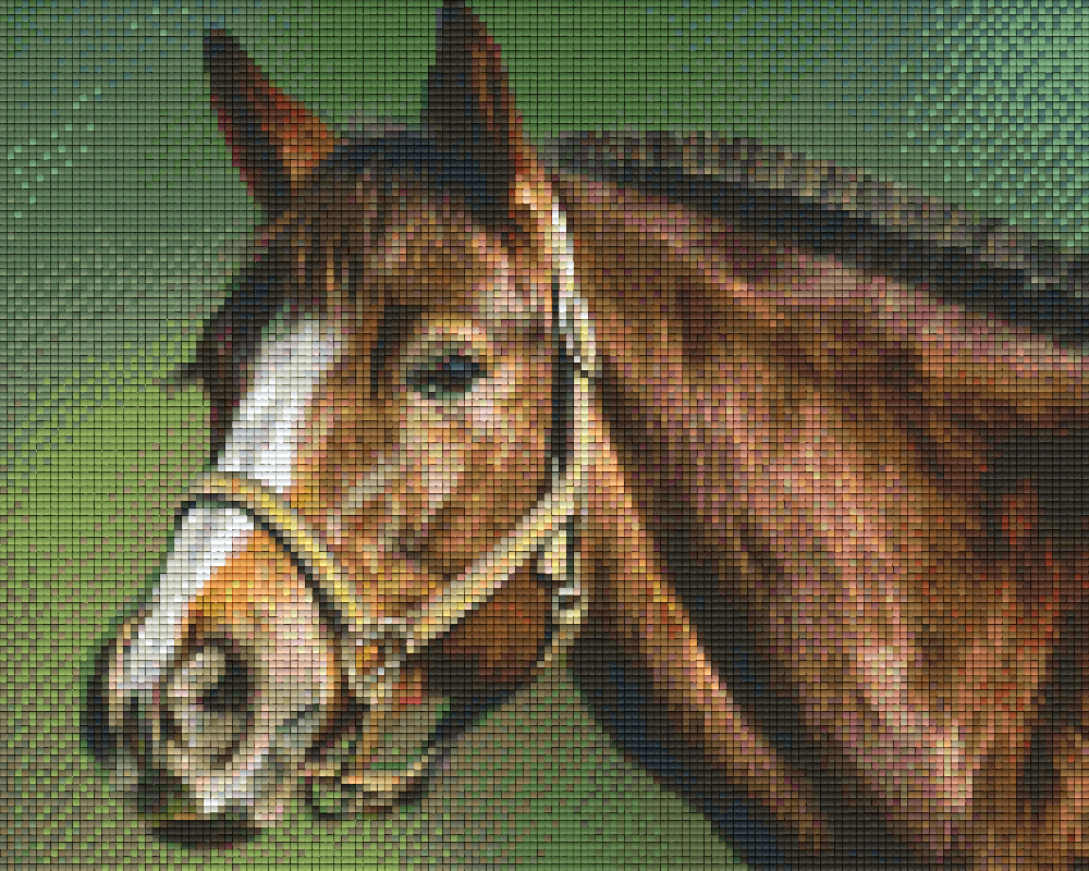 Pixel hobby classic set - horse