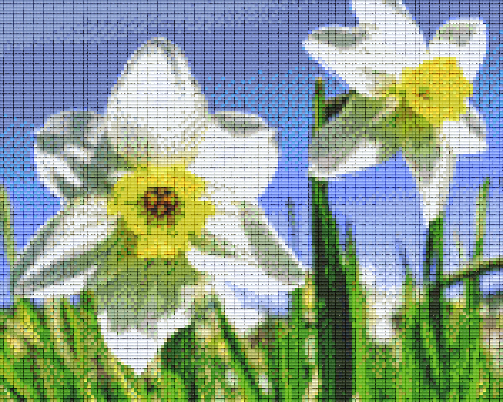 Pixelhobby classic set - daffodils
