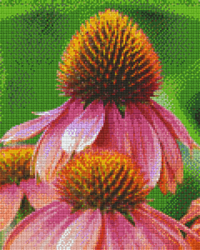 Pixel hobby classic set - flowers