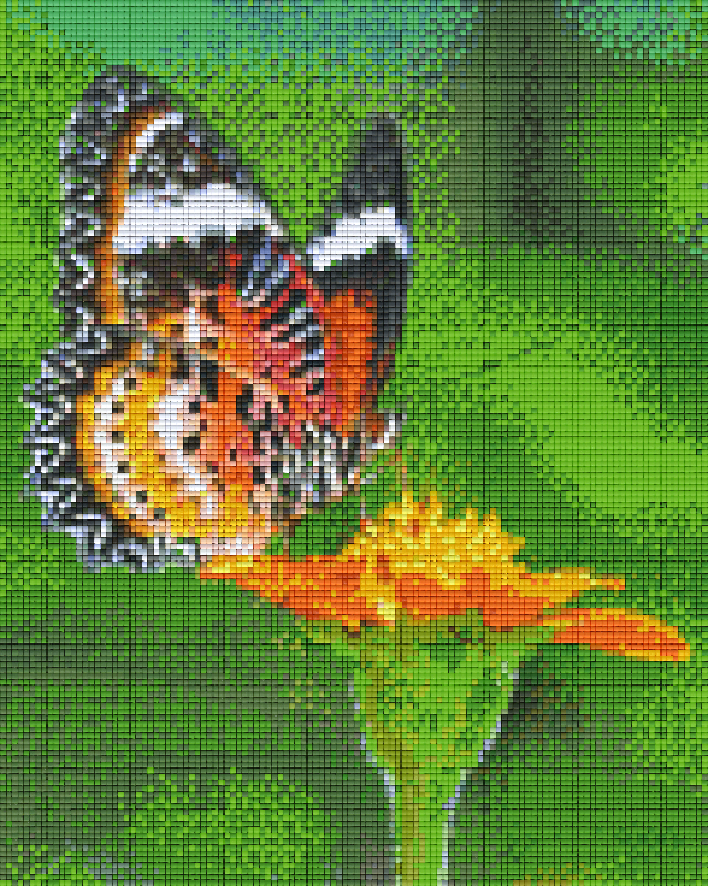 Pixelhobby Klassik Vorlage - Schmetterling landet