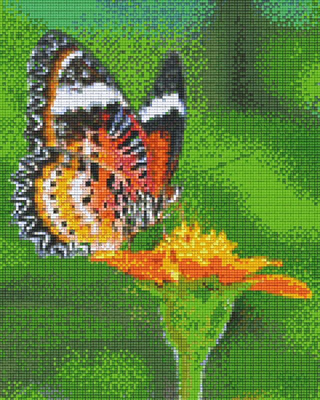 Pixelhobby classic set - butterfly lands