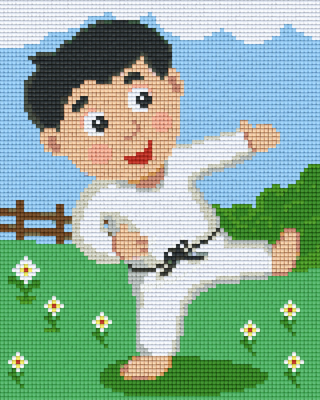 Pixel hobby classic set - karate