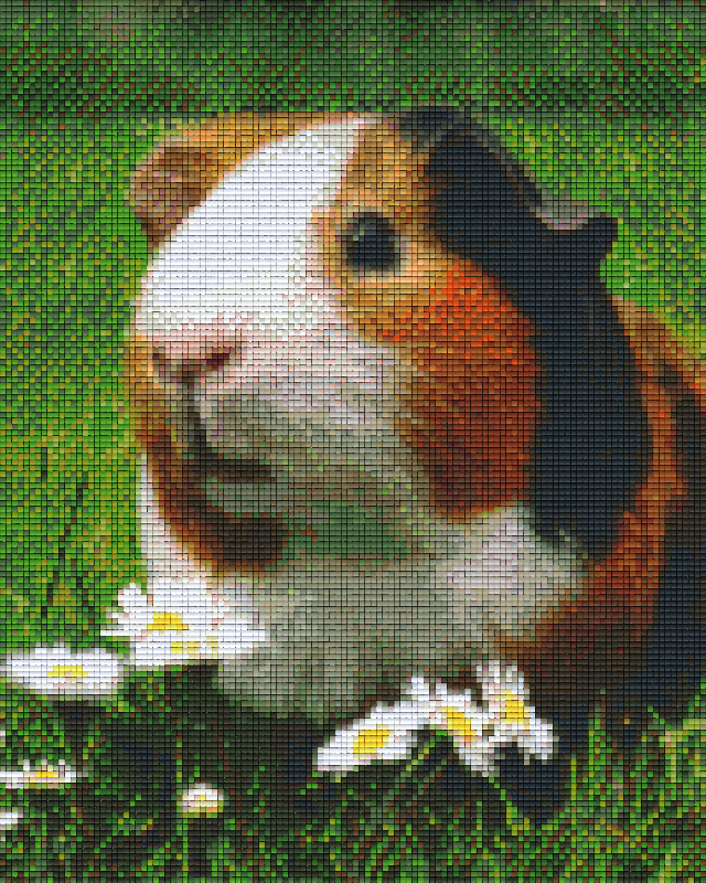 Pixelhobby classic set - guinea pig