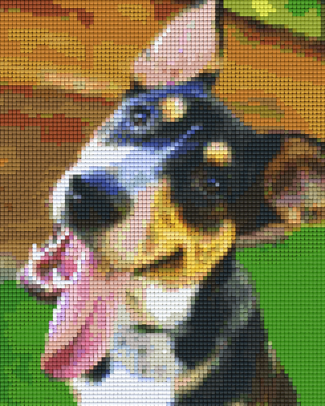 Pixelhobby Classic Set - Dog panting