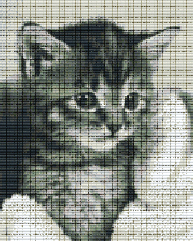 Pixelhobby classic set - kitten b/w