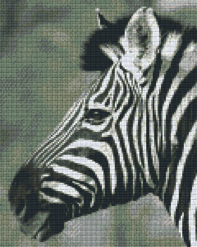 Pixelhobby Classic Set - Zebra b/w