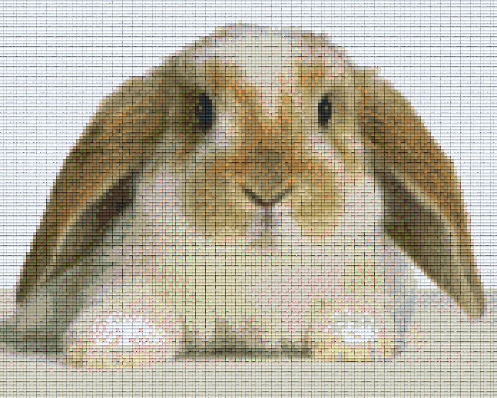 Pixel hobby classic set - rabbit