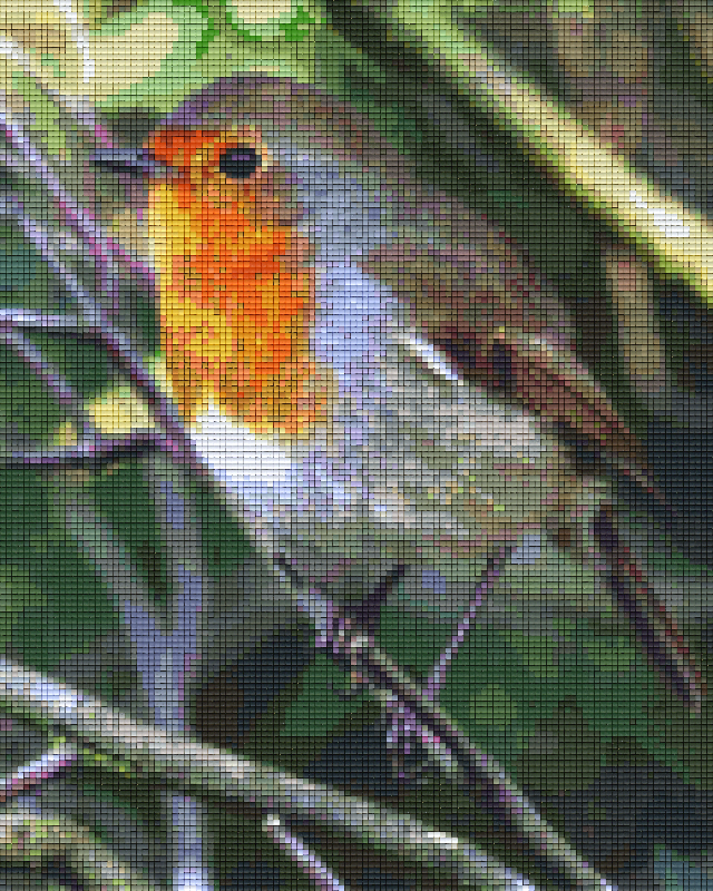 Pixelhobby Classic Set - Robin