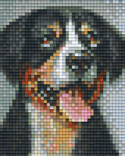 Pixel hobby classic template - Swiss mountain dog