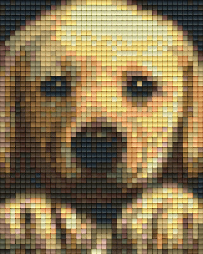 Pixel hobby classic template - golden retriever puppy