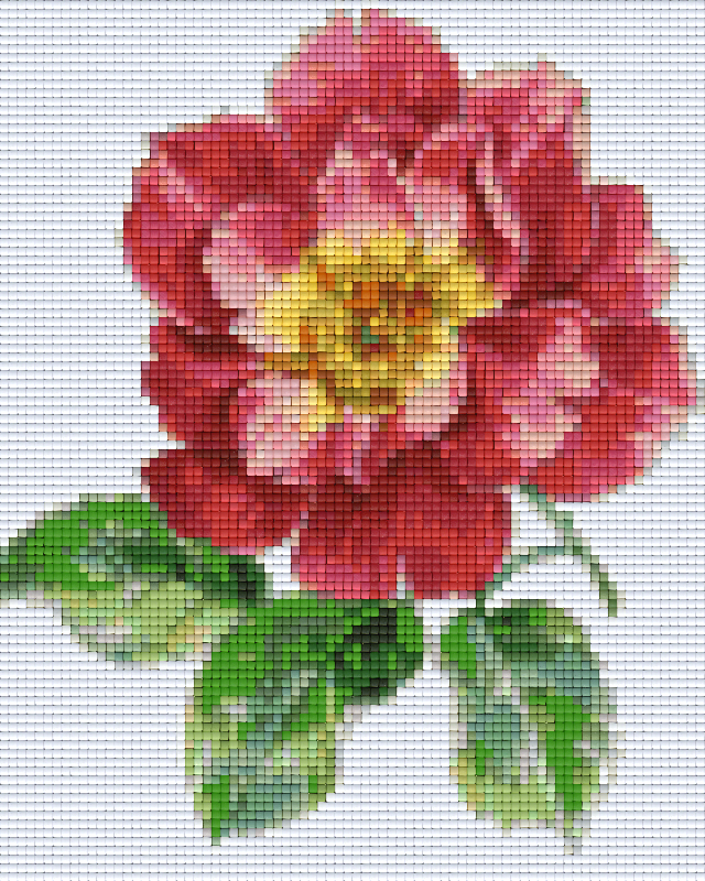 Pixelhobby Klassik Set - Rose