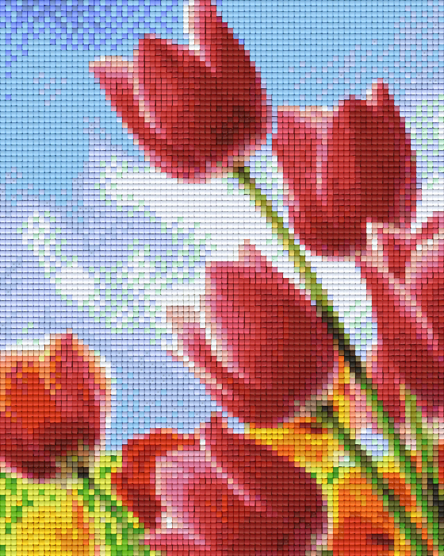 Pixelhobby Klassik Vorlage - Tulpen