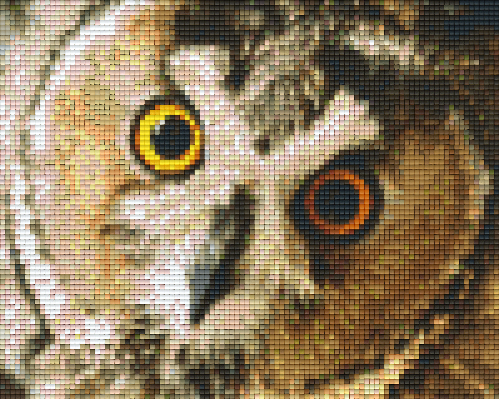 Pixel hobby classic set - owl