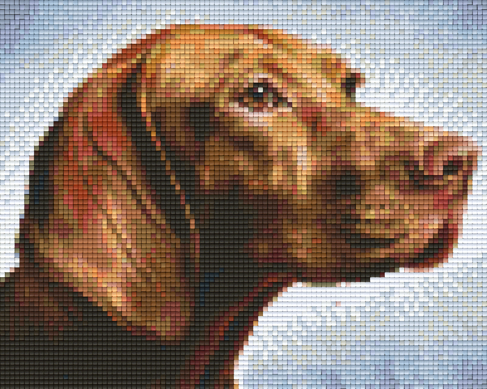 Pixel Hobby Classic Set - Labrador