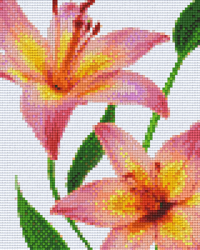 Pixelhobby classic set - pink ivy