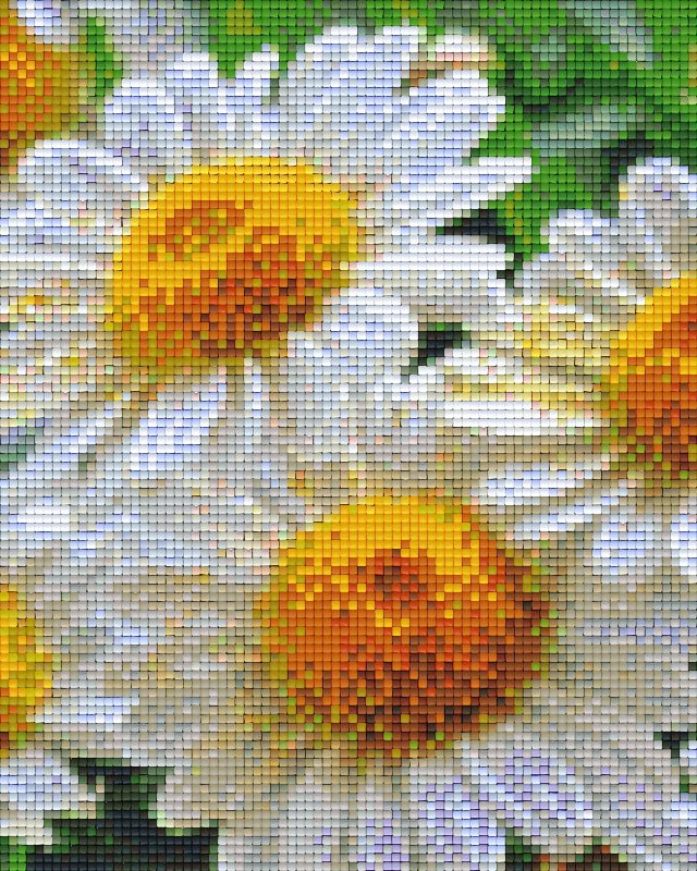 Pixelhobby Klassik Vorlage - Gänseblümchen