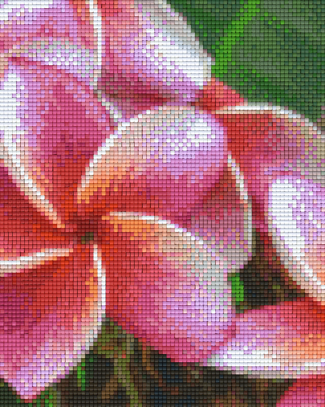 Pixel hobby classic set - pink flowers