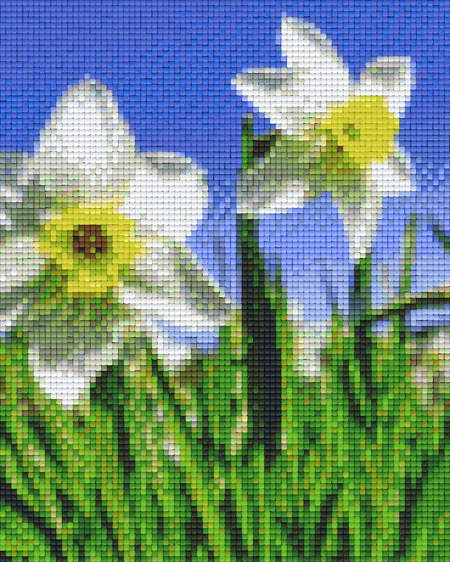 Pixelhobby classic set - white daffodils