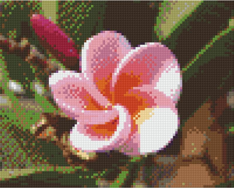 Pixelhobby Klassik Set - Rosa Blüte
