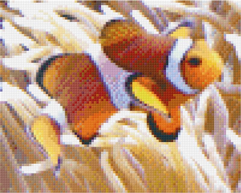 Pixelhobby Klassik Set - Clownfisch