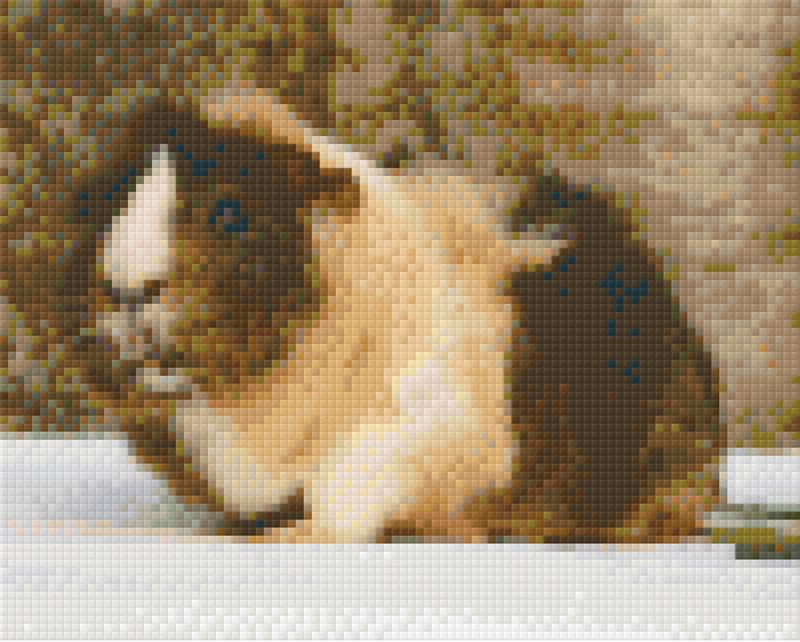 Pixelhobby Klassik Vorlage - Meerschwein