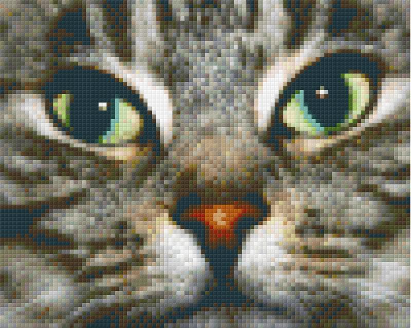Pixel hobby classic template - kitty
