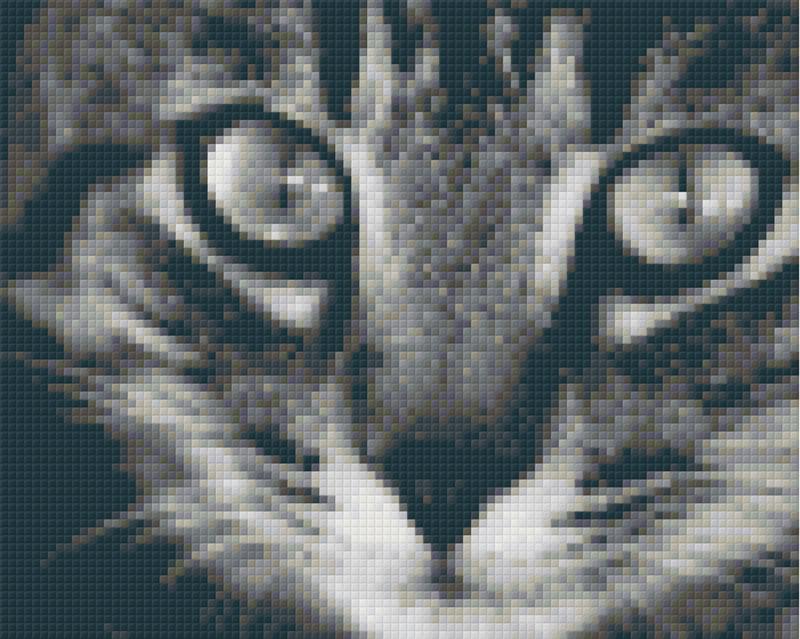 Pixel hobby classic template - kitty 2