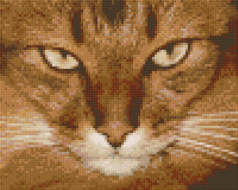 Pixel hobby classic template - kitty 3
