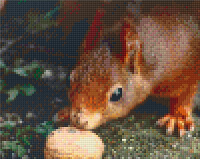 Pixelhobby Klassik Vorlage - Eichhörnchen