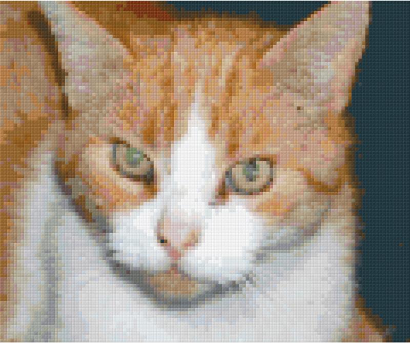 Pixelhobby Klassik Vorlage - Katze Mogli