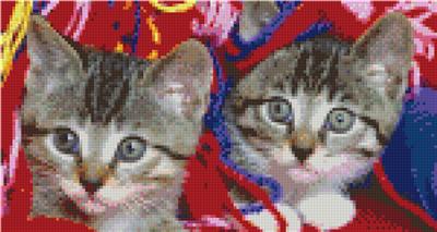 Pixel Hobby Classic Template - Woolcats