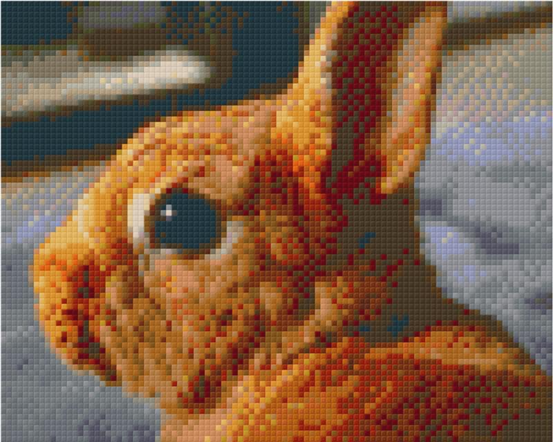 Pixel hobby classic template - rabbit