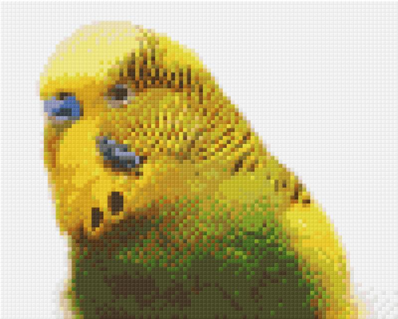 Pixel hobby classic template - budgie