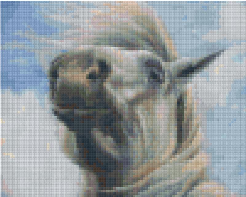 Pixel hobby classic template - Andalusian head