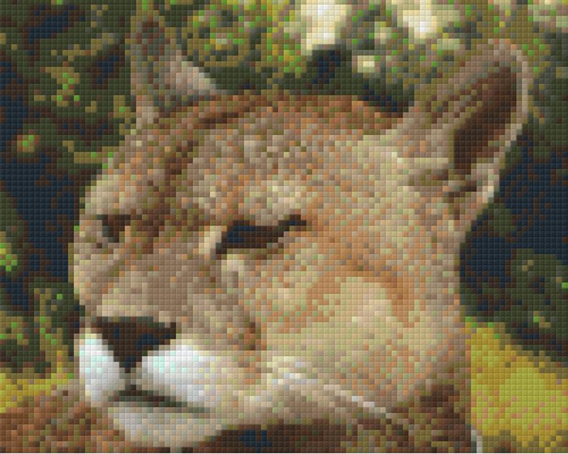 Pixel hobby classic template - wild cat
