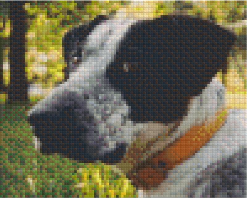 Pixelhobby Klassik Vorlage - Unser Hund Jo