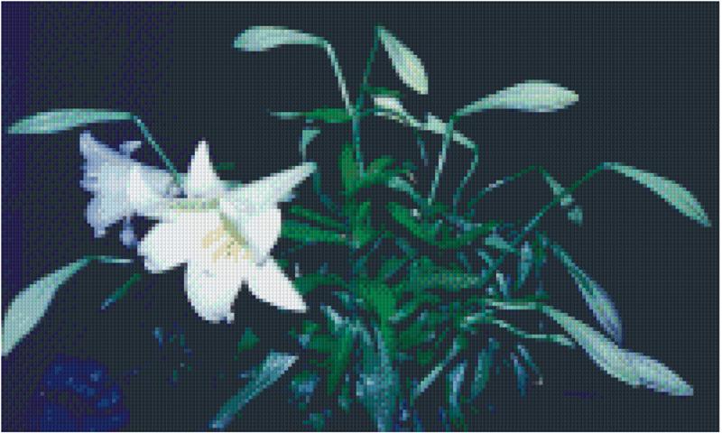 Pixelhobby Classic Set - Lilies