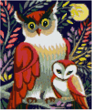 Pixelhobby Klassik Vorlage - The Magic of Owls