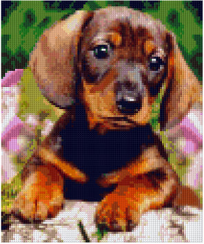 Pixelhobby Klassik Vorlage - Little Wiener Pup