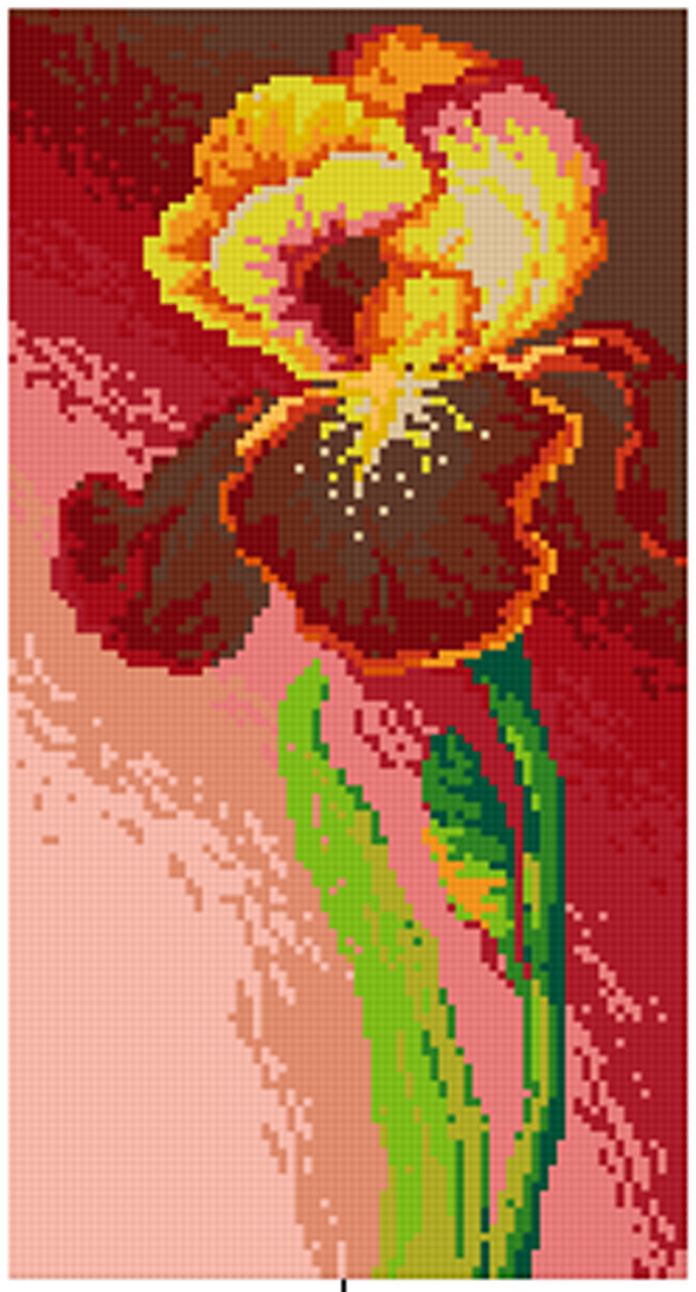 Pixelhobby Klassik Set - Die feine Iris